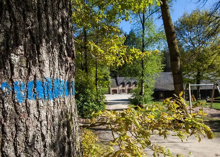 בקתה De La Croix Du Hetre *